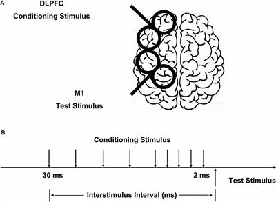 Hemispheric Differences in Functional Interactions Between the Dorsal Lateral Prefrontal Cortex and Ipsilateral Motor Cortex
